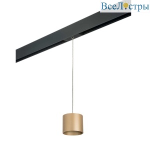 Трековый светильник Lightstar Rullo (213490+595887) PRORP3490