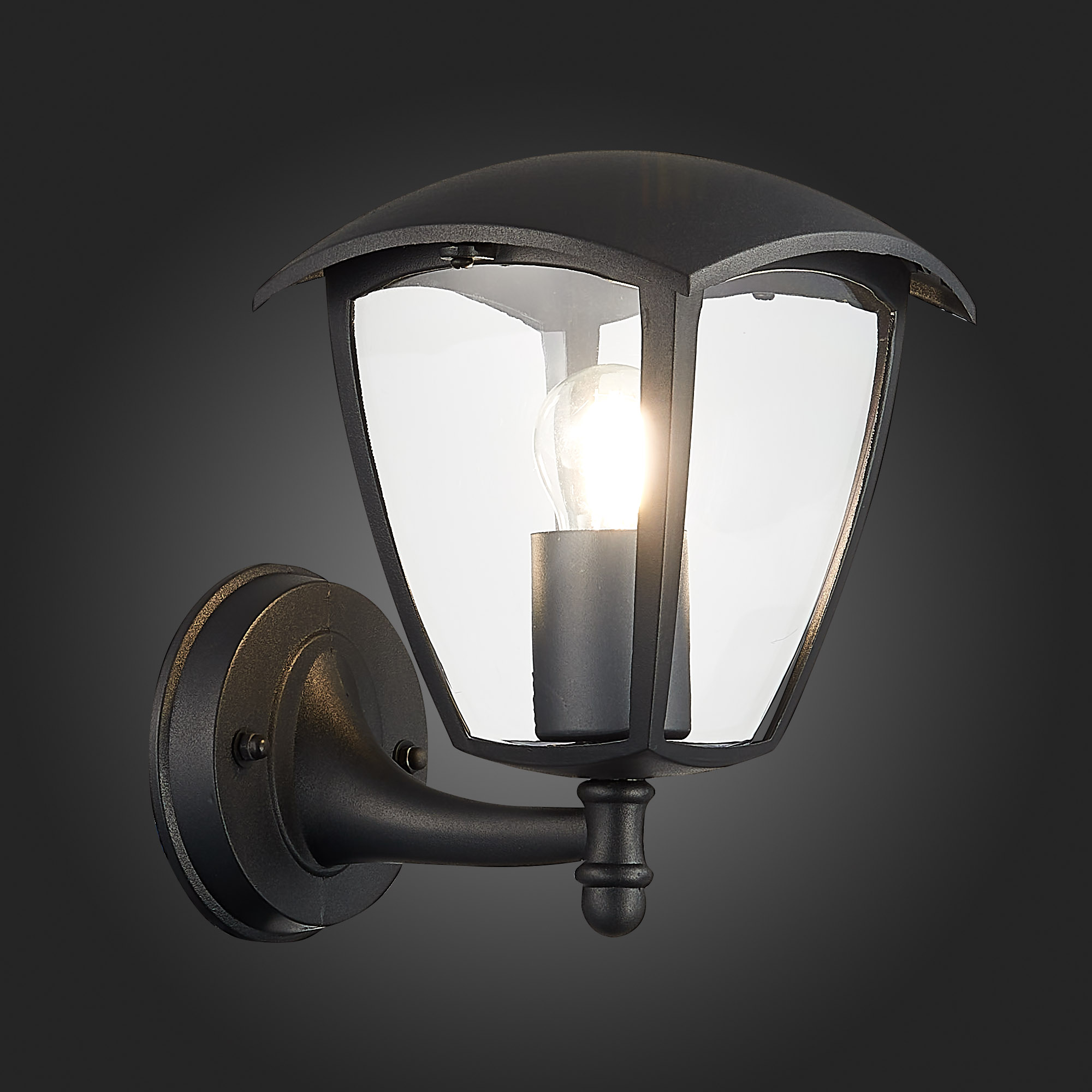 уличный настенный светильник st luce sivino sl081.401.01