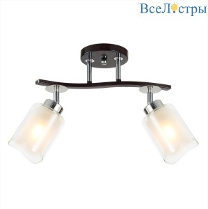 Спот Citilux Фортуна CL156122