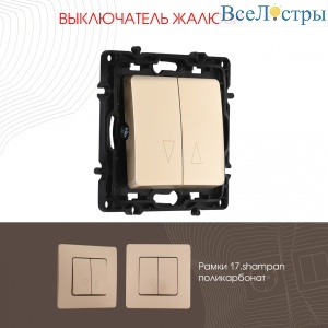 Выключатель жалюзи Arte Milano 217.38-2.shampan