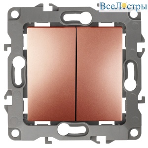 Выключатель двойной, 10АХ-250В, IP20, без м.лапок медь Эра 12-1004-14 Б0019313