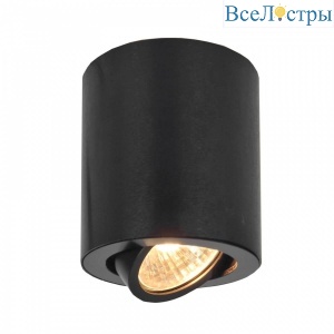 Потолочный светильник Citilux Дюрен CL538113