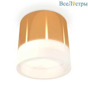 Комплект накладного светильника Ambrella light Techno Spot XS (C8121, N8401) XS8121010