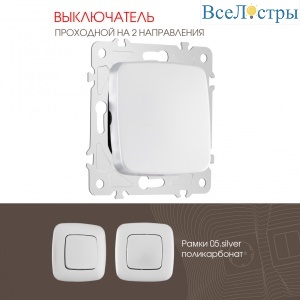 Выключатель одноклавишный проходной Arte Milano 205.32-1.silver
