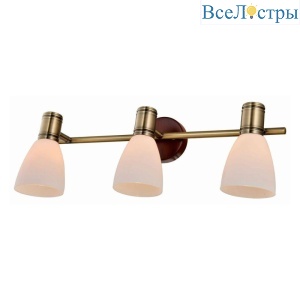 Спот Toplight Sharyl TL3720Y-03BB