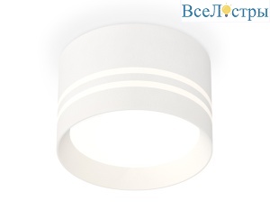 Потолочный светильник Ambrella Light Techno Spot XS8101021 (C8101, N8477)