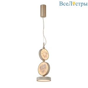 Подвесной светильник Favourite Solarius 4858-1P