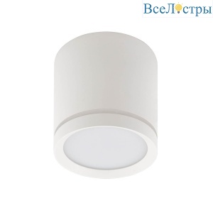 Накладной светодиодный светильник Denkirs DK4013-WH