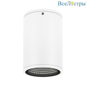 Уличный потолочный светильник Arlight LGD-Forma-Surface-R90-12W Day4000 037259