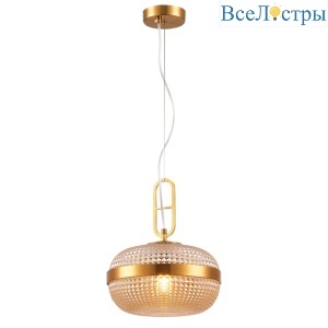 Подвесной светильник Simple Story 1054-1PL
