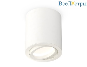 Потолочный светильник Ambrella Light Techno Spot XS7421001 (C7421, N7001)