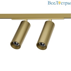 Трековый однофазный светильник Denkirs Shine spot DK5742-SB