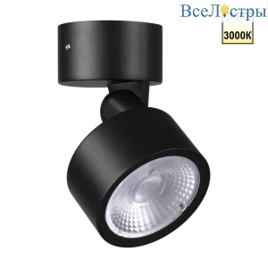 Уличный потолочный светильник Novotech Street Focus 359588