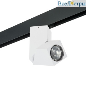 Трековый светильник Lightstar Illumo (595017+051056) PRO051056