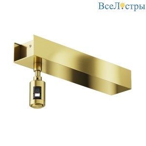 Основание потолочное Short для блока питания с вводом питания Maytoni Flarity TRA156C-BB1-BS