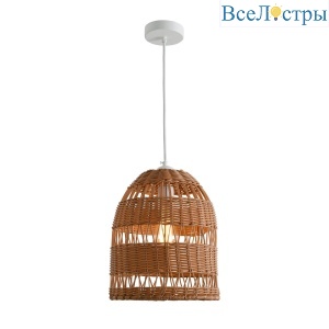 Подвесной светильник Favourite Slam 4877-1P
