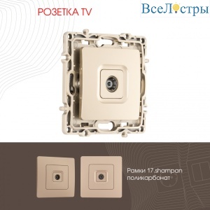 Розетка TV Arte Milano 217.43-1.shampan