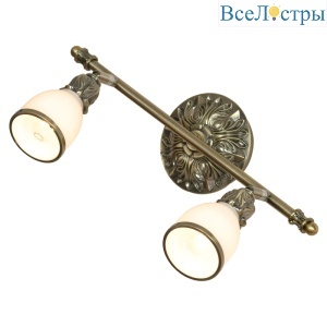 Спот Lussole Furlo LSL-7301-02