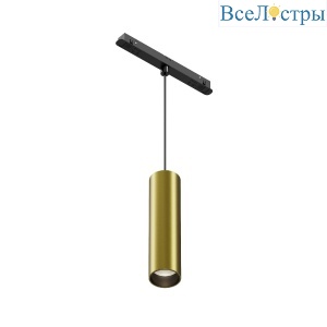 Трековый магнитный светильник Maytoni Focus Led TR041-2-12W4K-BBS