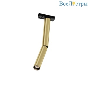 Трековый однофазный светильник Maytoni Focus T TR142-1-6W3K-BS