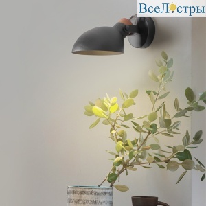 Бра Imperium Loft Onder 204451-26