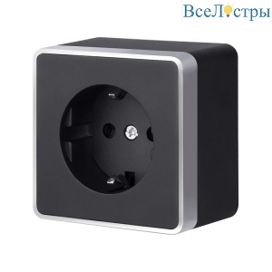 Розетка с заземлением и шторками Werkel Gallant (черный с серебром) W5071134 4690389164569 a051148