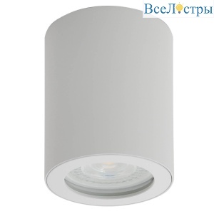 Потолочный светильник Denkirs DK3007-WH