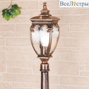 Уличный светильник Elektrostandard Andromeda F (GLYF-8024F) 4690389042683