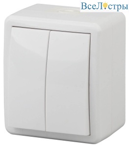 Выключатель двухклавишный ЭРА Эксперт 10AX 250V IP54 11-1404-01 Б0020675