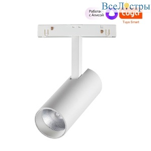 Трековый светильник Novotech Flum 359495