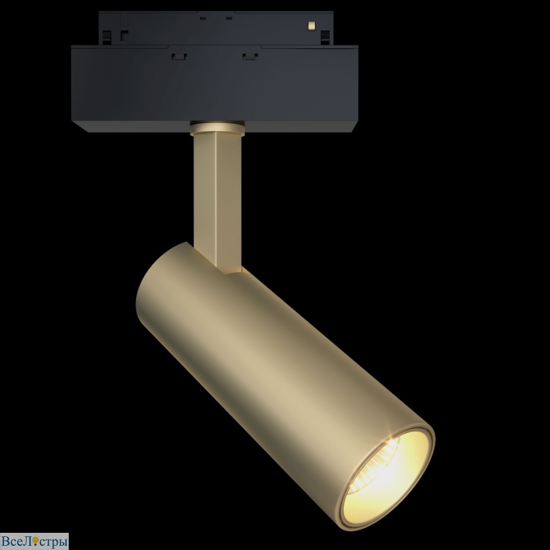 трековый светильник maytoni focus led  tr019-2-10w4k-mg
