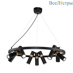 Подвесная люстра Favourite Light point 2997-9P
