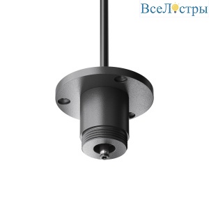 Основание с внешней резьбой с вводом питания Maytoni Shelf CA022BO-P-B