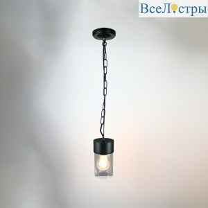 Уличный подвесной светильник General GWL-E27-M-IP65 662652