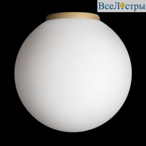 Потолочный светильник Citilux Ron CL941D20B2