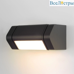 Уличный настенный светильник Elektrostandard DORS 35163/D черный 4690389219306 a072077