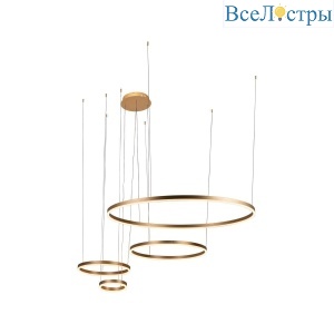 Подвесной светодиодный светильник Loft IT Ring 10017/4S