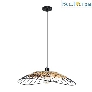 Подвесной светильник Arte Lamp Woodstock A7061SP-1BK