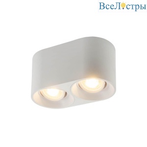 Накладной светильник Denkirs DK3036-WH