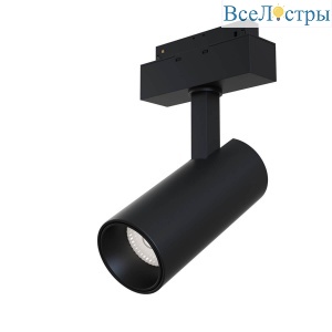 Светильник на штанге Maytoni Track lamps TR019-2-15W3K-B
