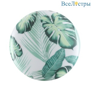 Потолочный светильник Sonex Pale Flori 7748/CL