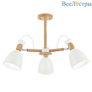 Потолочная люстра Evoluce Balcamo SLE103802-03