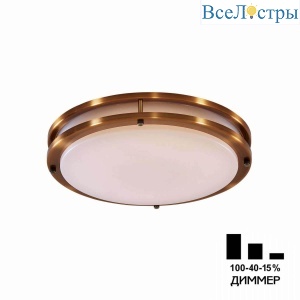 Накладной светодиодный светильник Citilux Бостон CL709323N