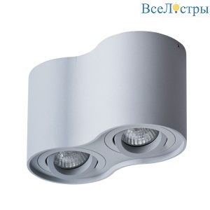 Потолочный светильник Arte Lamp Falcon A5645PL-2GY