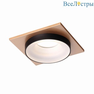 Встраиваемый светильник Favourite Diversa 2887-1C