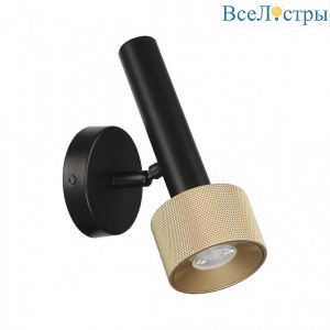Спот iLedex Delta 2360-1 BK+BR