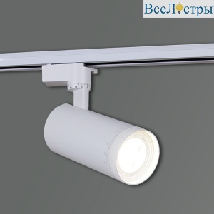 Трековый светильник Reluce 05830-9.3-001QY LED30W WT