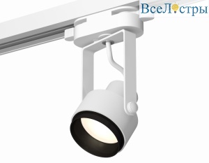 Трековый однофазный светильник Ambrella Light Track System XT6601020 (C6601, N6121)