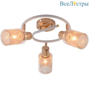 Спот Reluce 96125-3.8-03A WH+FGD