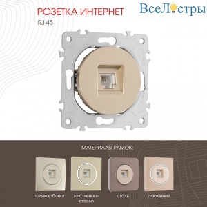 Розетка RJ45 Arte Milano 202.45-1.shampan